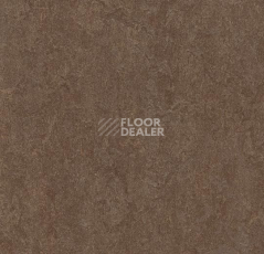 Линолеум Forbo Marmoleum Decibel on Order 387435 walnut фото 1 | FLOORDEALER